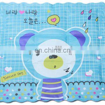 the Best Selling Customized Vinyl Water Ice Seat Cushion