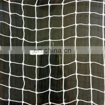 STRONG PLASTIC HDPE ANTI BIRD NET FOR BRAMBLE AND BLUEBERRY PLANTINGS