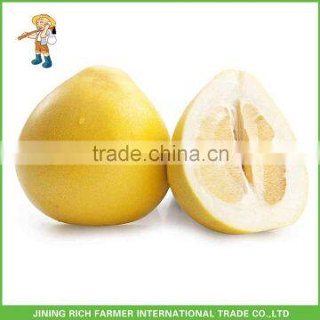 Fresh Honey Pomelo