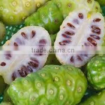 Premium grade Noni powder at your door step