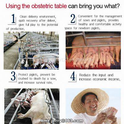 Farrowing Crates for Pig Farm Certified Pig Equipment for Sow photo-3