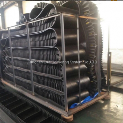 Sidewall Conveyor Belt photo-3