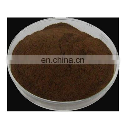 Hot Sale Garlic Polyphenol Powder Organic Black Garlic Extract Powder