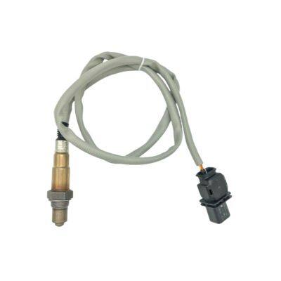 Oxygen Sensor