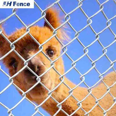 4' X 50' Black Vinyl Coated 9-Gauge Chain Link Fence Fabric for Long-Lasting Use photo-4
