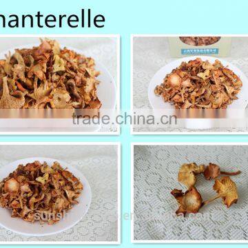 2016 Dried Chanterelles best price best quality from Yunnan ,China