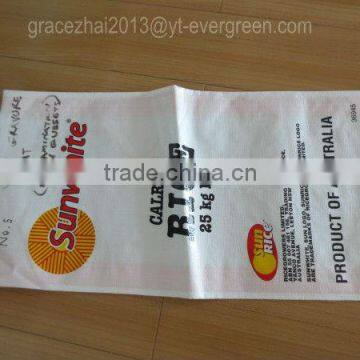 Virgin Material Laminated pp Woven Bag for Salt Packing photo-4