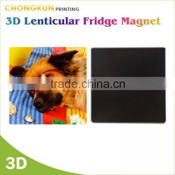 Professional production quality Assurance 3d fridge magnet
