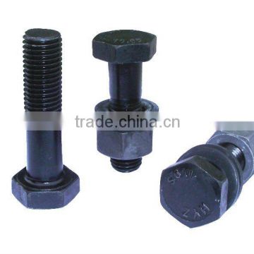 High Strength Friction Grip Bolt 10.9S for steel structure joint