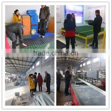 High Quality 100mm Oval Hollow Fiberglass Support Beam for Pig/poultry/livestock Farms, Support Beams for Construction Quality Choice