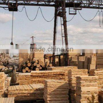 Bed Slats LVL Pine or Birch Wood Logs Hardwood Popular China Mainland photo-5