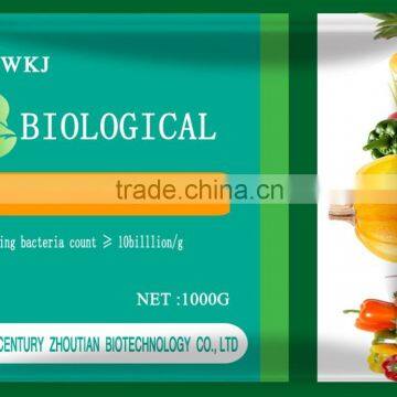 Powder state Plant Growth Promoting Rhizobacteria Pseudomonas spp