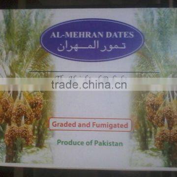 Fine Quality Pine Nuts Kernels - Pakistan Origin photo-6
