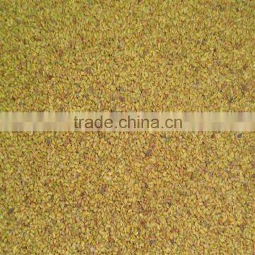 High Quality Alfalfa Seeds With Competitive Price photo-2