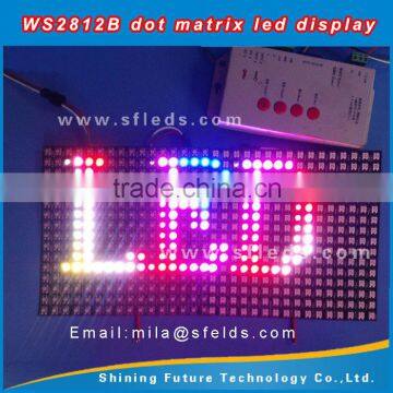 Flexible WS2812 8x32 RGB LED panel smd led matrix display