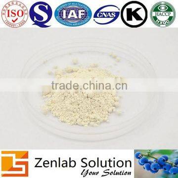 Garcinia Cambogia in Powder 65% Garcinia Cambogia Fruit Extract Powder photo-3