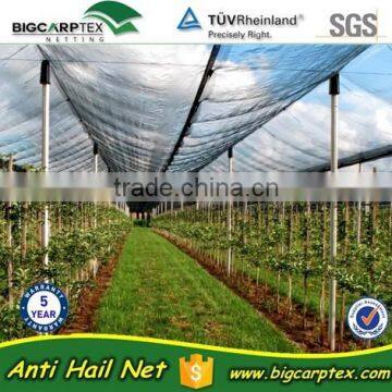 New Arrival for 2015, 50grm 100% Virgin HDPE agricultue anti hail net (20 years factory)