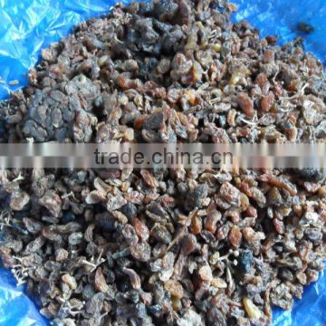 china industrial grade raisin