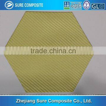 Aramid Fiber Fabric /Nomex Fabric