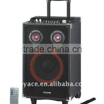 active speaker with usb/sd/wireless microphone