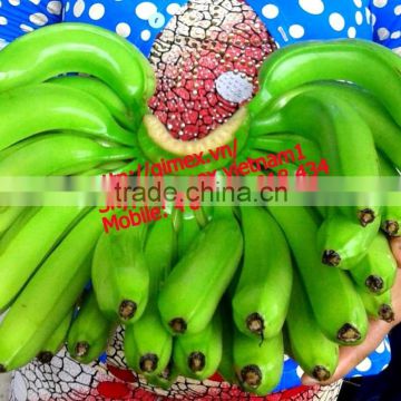 Gimex bananas Vietnam High Quality