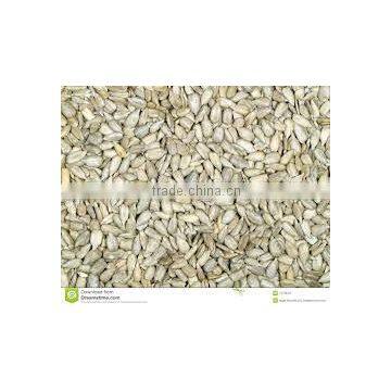 Sunflower Kernels Sunflower Seeds Kernels photo-6