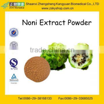 GMP Certified Factory Supply Natural Noni Extract Powder