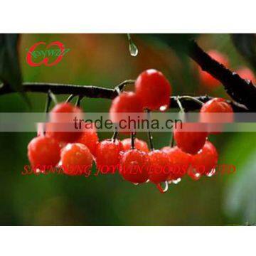 Canned fresh cherry in syrup supplier hot sell