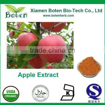 Factory Supply 100% Natural Apple Extract, Apple P.E.