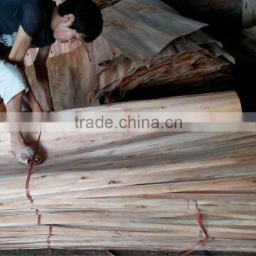 100% A grade Eucalyptus core veneer origin of Vietnam