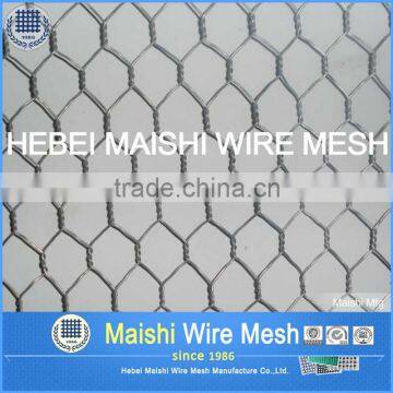 Hot Dipped Galvanized Hexagonal Wire Mesh Factory photo-2