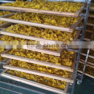 Flower Dryers / Flower Drying Machine photo-4