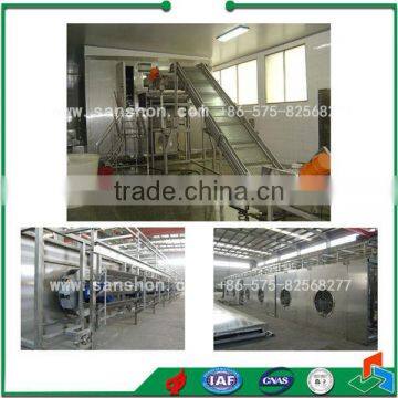 China Strawberry Quick Freezing Line,Berry Production Freezing Line