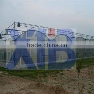 Agricultural Plastic Film Arch Greenhouse