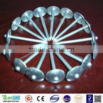 Twisted Shank Galvanized Umbrella Head Roofing Nail ( 2 -1/2" x 9mm ) With Plastic Washer Boa Sorte Trade Ssurance Sinolink photo-6
