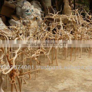 natural root decor