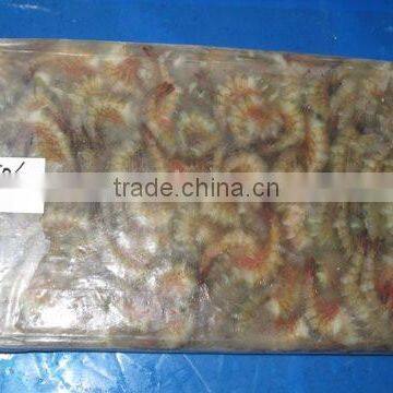 HLSO Karikkadi Shrimps photo-2
