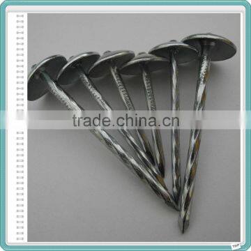 2.5 Inch Umbrella Head Galvanized Twisted Shank Roofing Nails photo-4