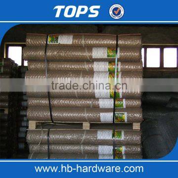 China Hexagonal Retaining Wall/fly Wire Netting photo-5