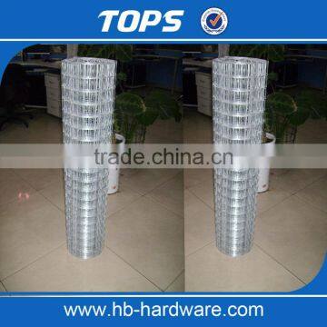 Galvanized Welded Wire Mesh Price photo-5