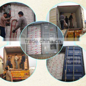 Bakery Instant Dry Yeast Low Sugar, Bread Instant Yeast, Dry Yeast Baking photo-4