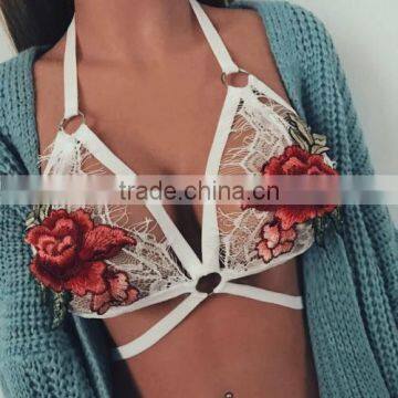 2017 Ladies Latest Design With Lace Bra photo-2