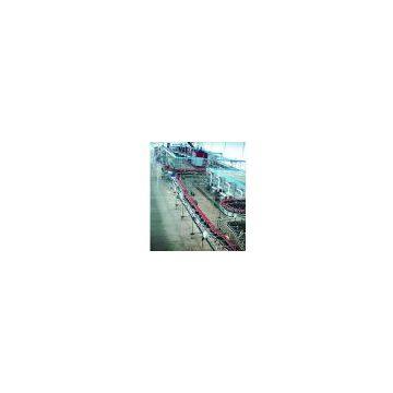 Conveyor belt production line / Food Processing Equipment / Food Processing Machinery