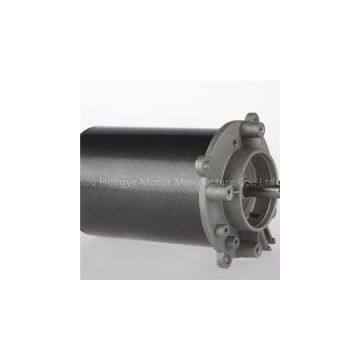 ZYT-77 Series DC Motor