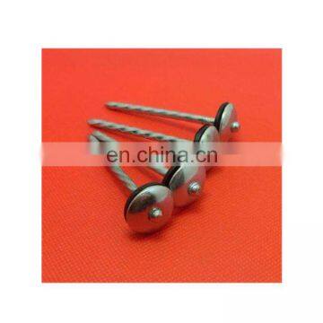 Corrugated Roofing Nail\Smooth/Screw/Ring Shank Nail