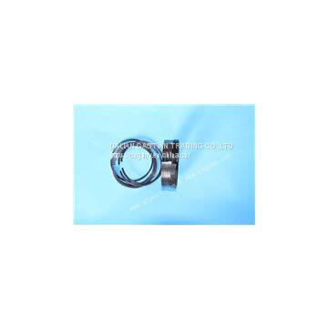 04253389 04207776 04253395 04253397 04501339 04291025 04291022 04501092 Deutz Piston ring