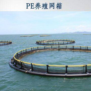 Square Net Cage Fish Farming Anti Stormy Waves