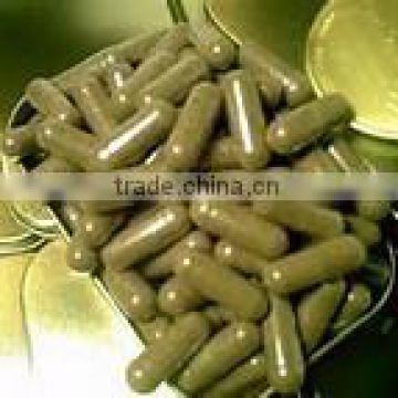 Genius Herbs Noni Capsules for bulk sale