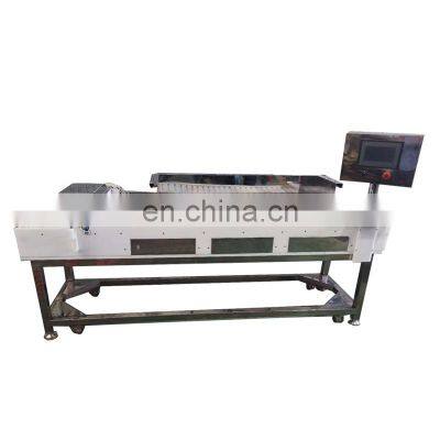 chicken meat skewer machine  beef skewer machine factory price