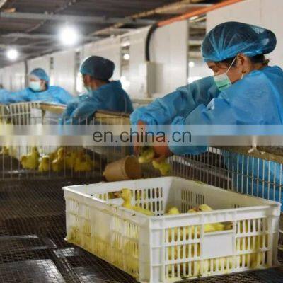 Tunnel type vegetable basket cleaning machine laboratory washing rack for rabbit animal cage industrial crate basket cleaner